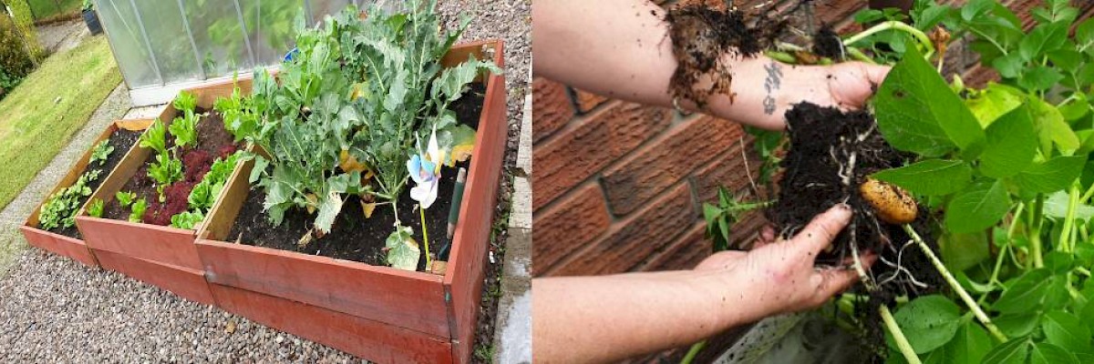 Green Thumbs at Chambers Court